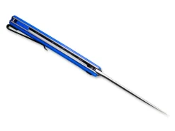 Asticus Blue