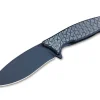 Balaenoptera Black