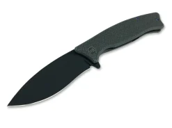 Balaenoptera Grey