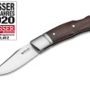 Boxer Desert Ironwood