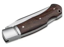 Boxer Desert Ironwood