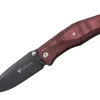 Gekko 1555