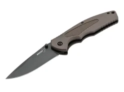 Gemini Nga Coyote