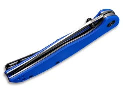 Governor Blue