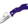 Ladybug 3 Purple