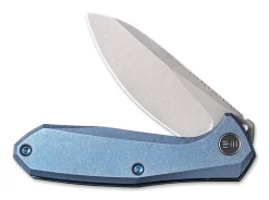 Mote Blue