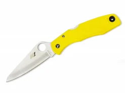 Pacific Salt Yellow Plain