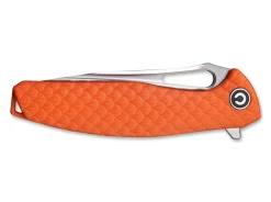 Wyvern Orange