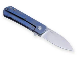 Yorkie Blue